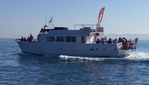 Fiesta Catamaran